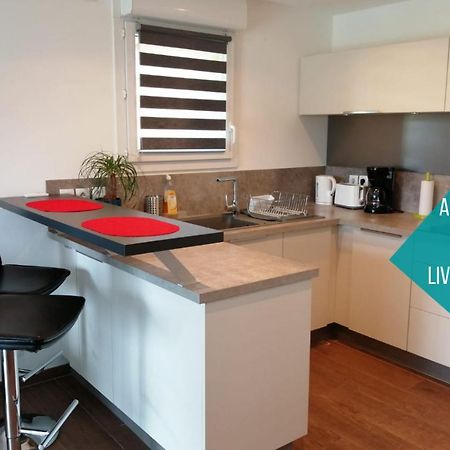 Le Cocon Du Leman Apartment Viry  Екстериор снимка