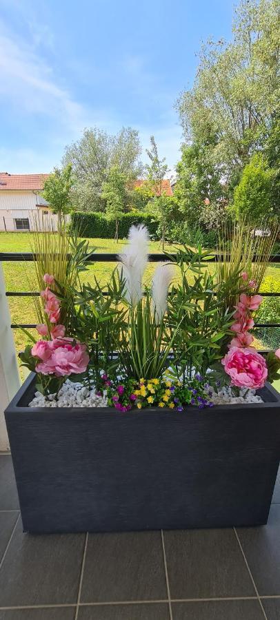 Le Cocon Du Leman Apartment Viry  Екстериор снимка