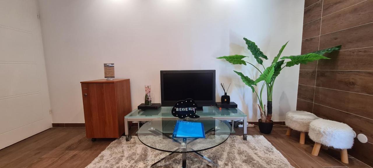 Le Cocon Du Leman Apartment Viry  Екстериор снимка