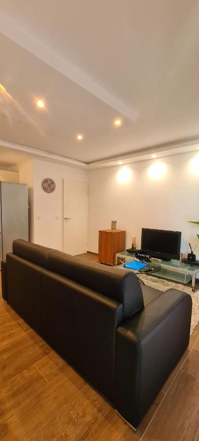 Le Cocon Du Leman Apartment Viry  Екстериор снимка