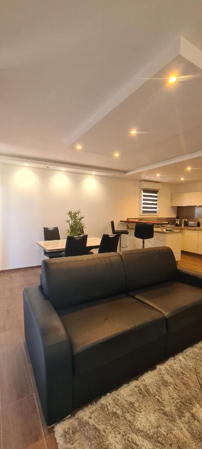 Le Cocon Du Leman Apartment Viry  Екстериор снимка