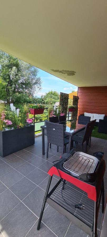 Le Cocon Du Leman Apartment Viry  Екстериор снимка