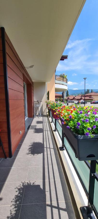 Le Cocon Du Leman Apartment Viry  Екстериор снимка