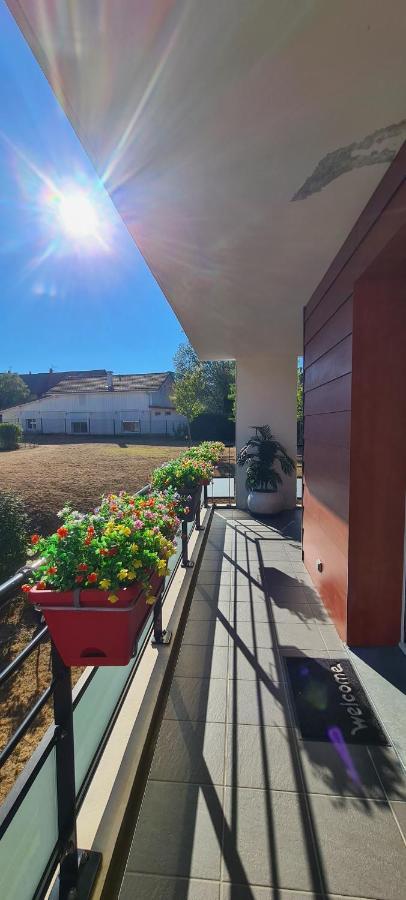 Le Cocon Du Leman Apartment Viry  Екстериор снимка