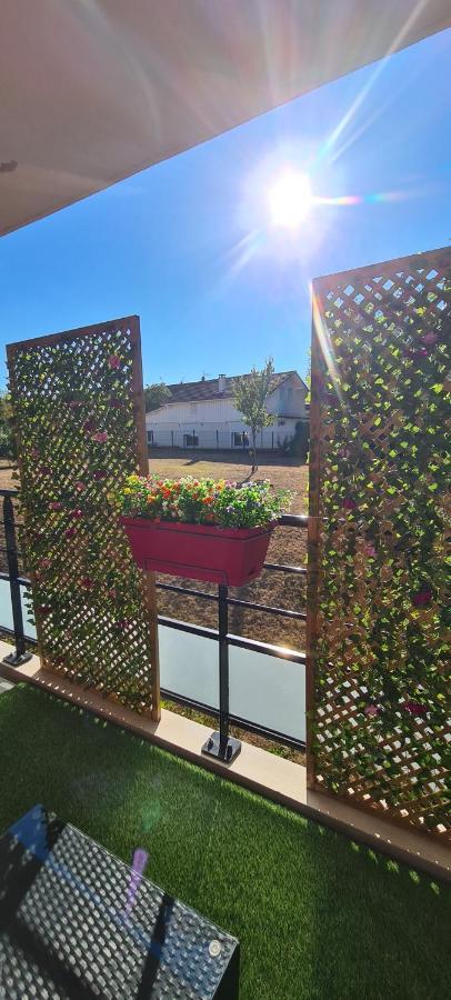 Le Cocon Du Leman Apartment Viry  Екстериор снимка